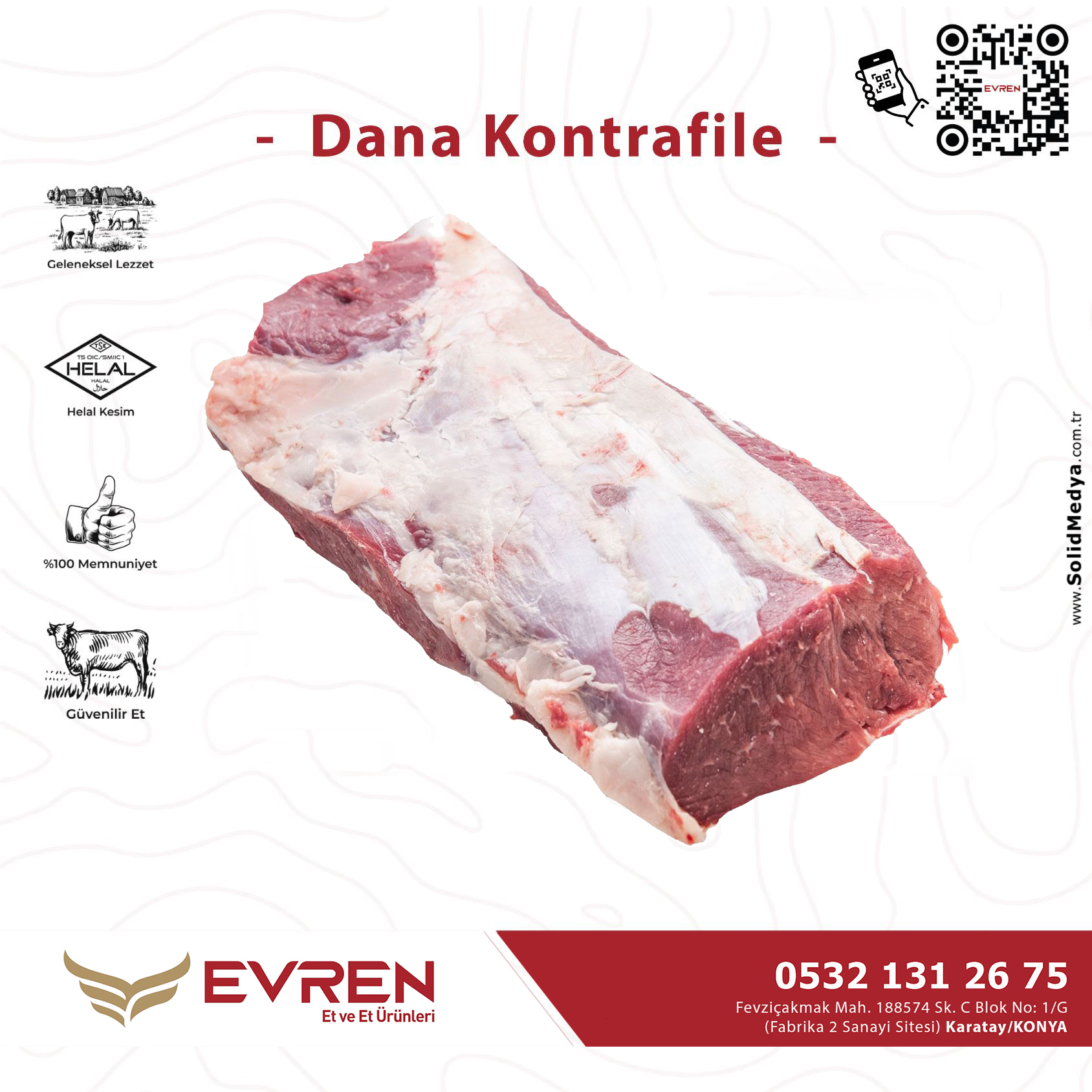 Dana Kontrafile-3
